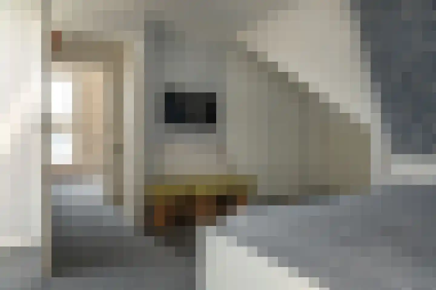 Hertog van Saxenlaan 21 Franeker thumbnail 33