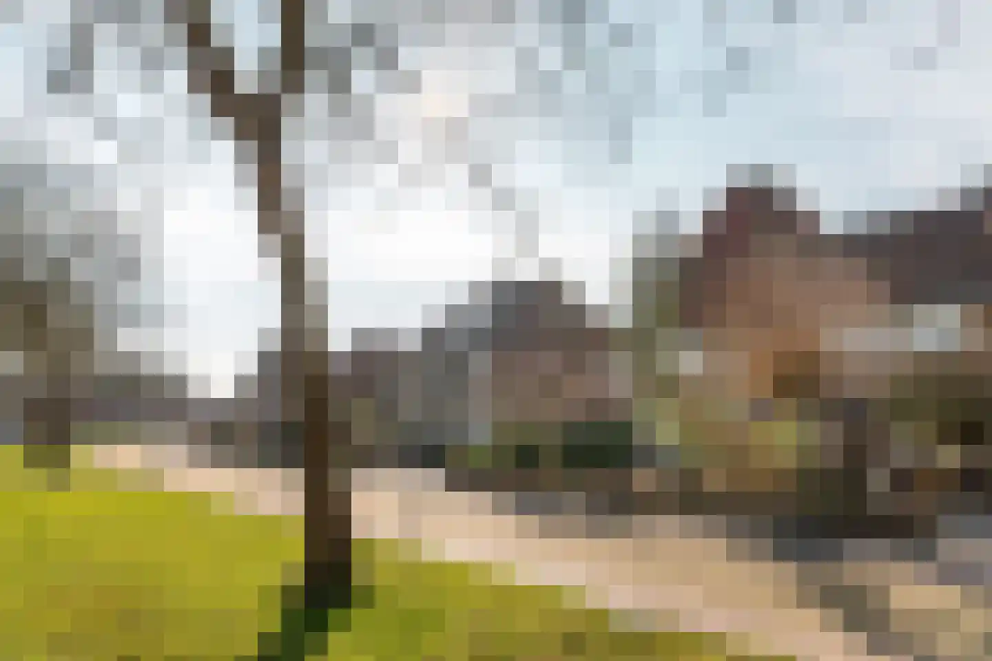 Hertog van Saxenlaan 21 Franeker thumbnail 43