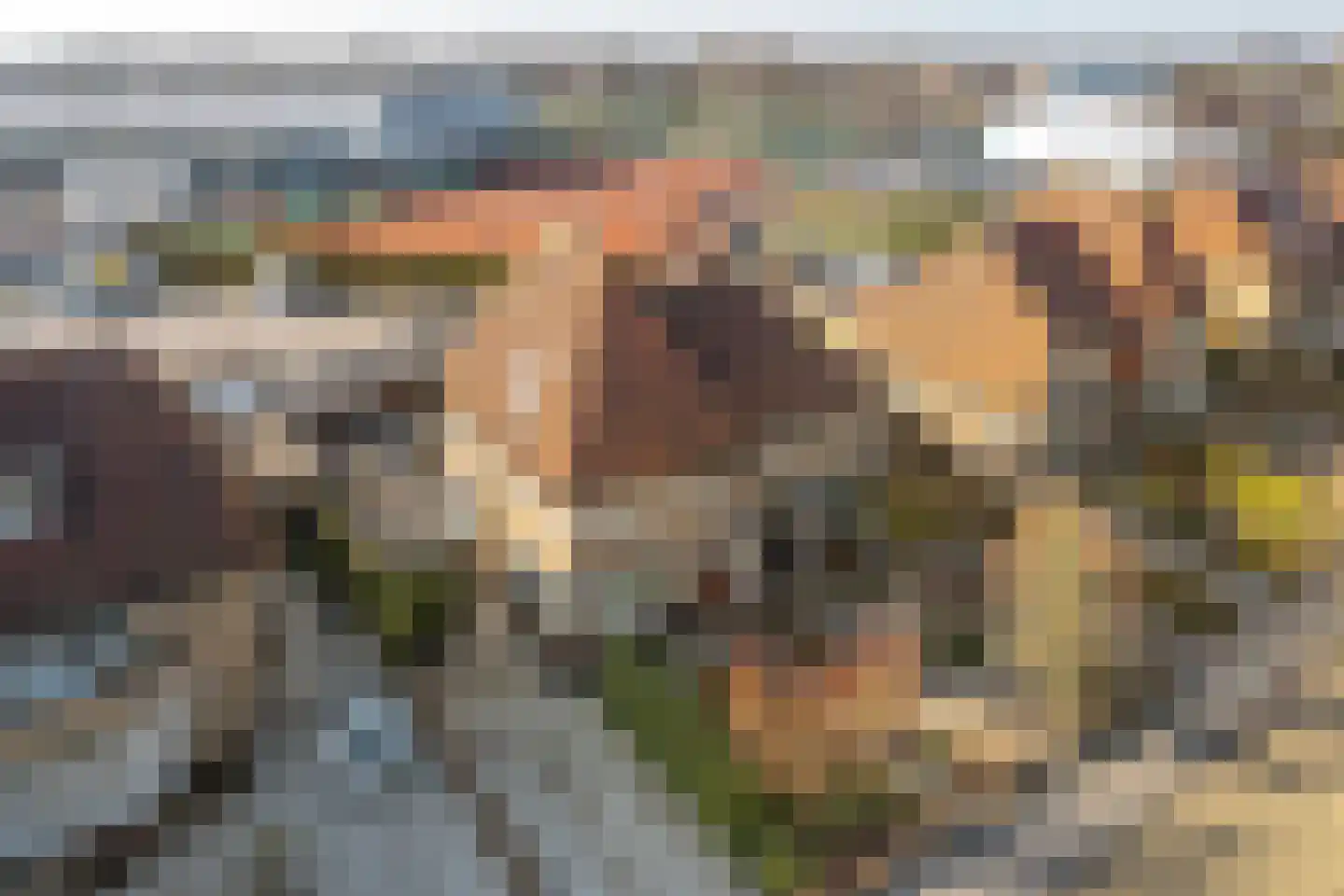 Hertog van Saxenlaan 21 Franeker thumbnail 45