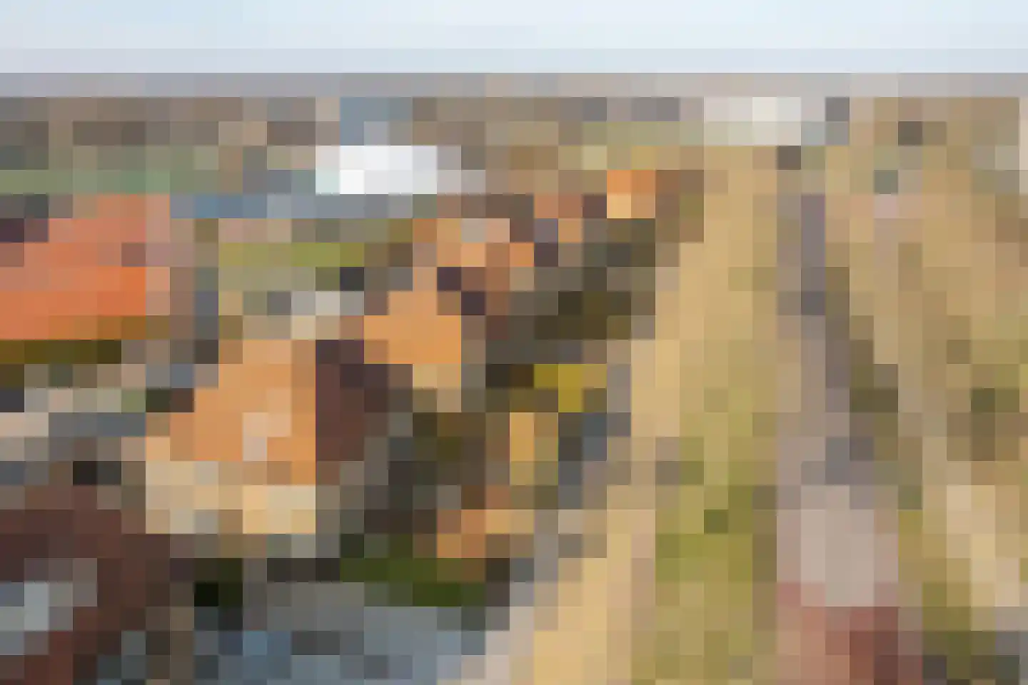 Hertog van Saxenlaan 21 Franeker thumbnail 46