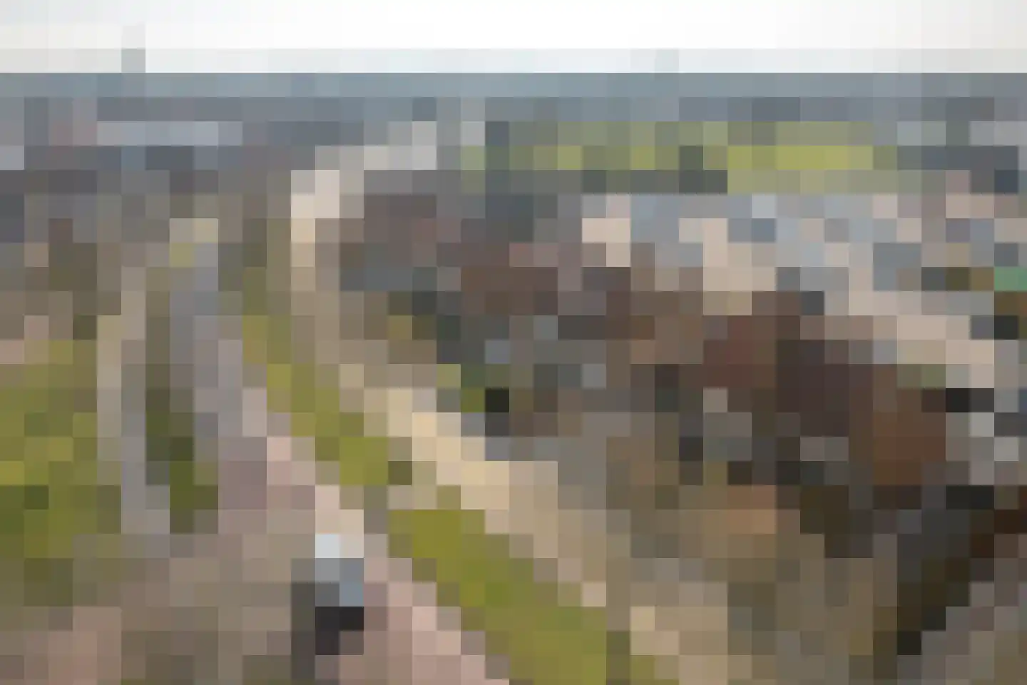 Hertog van Saxenlaan 21 Franeker thumbnail 47