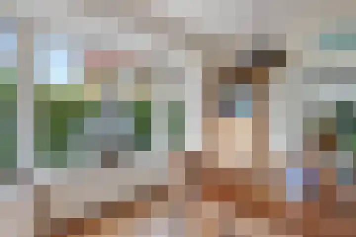 Hertog van Saxenlaan 35 Franeker thumbnail 26