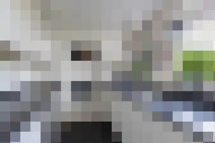 Hertog van Saxenlaan 35 Franeker thumbnail 29