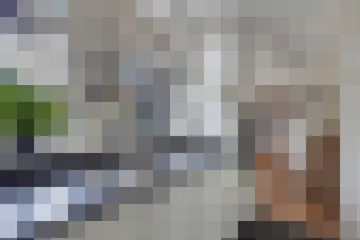 Hertog van Saxenlaan 35 Franeker thumbnail 30