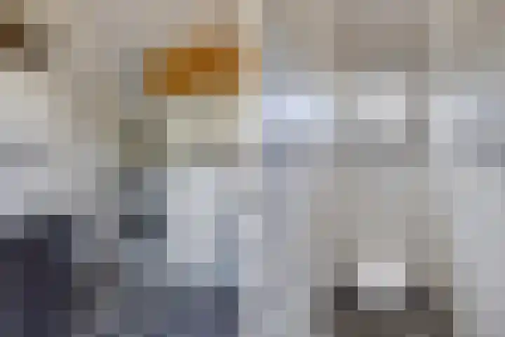 Hertog van Saxenlaan 35 Franeker thumbnail 32
