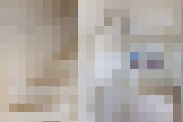 Hertog van Saxenlaan 35 Franeker thumbnail 33