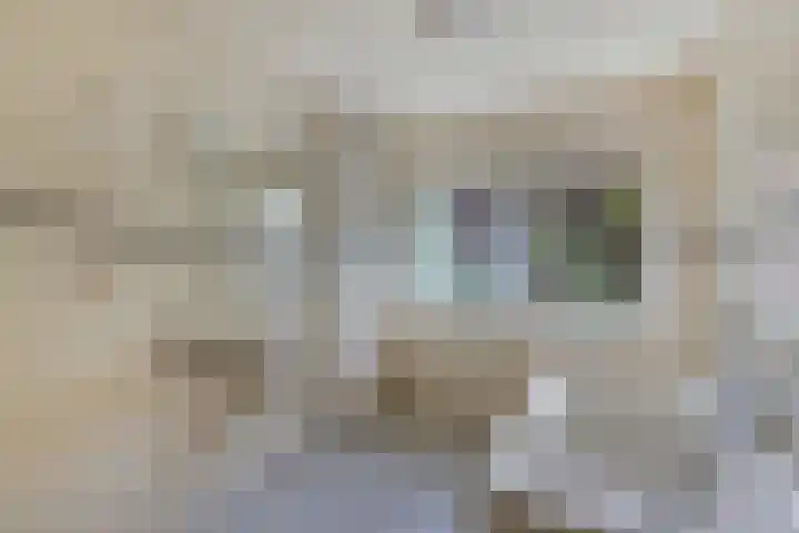 Hertog van Saxenlaan 35 Franeker thumbnail 38