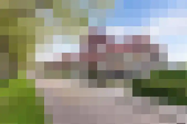 Hertog van Saxenlaan 35 Franeker thumbnail 4