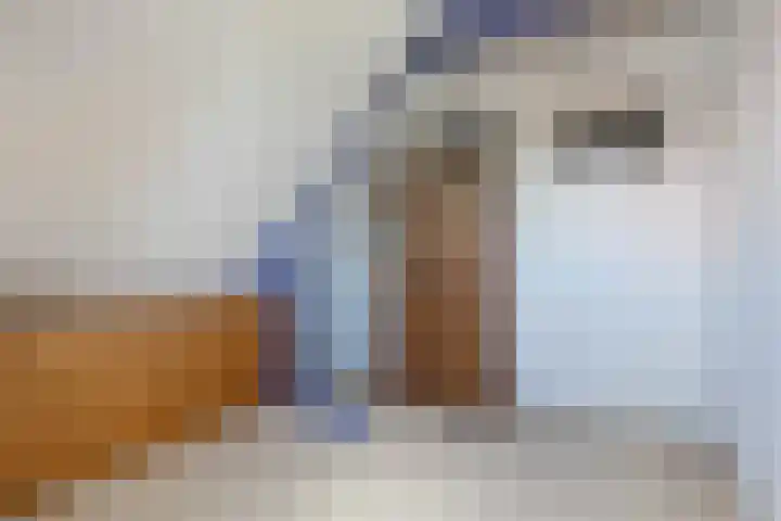 Hertog van Saxenlaan 35 Franeker thumbnail 43