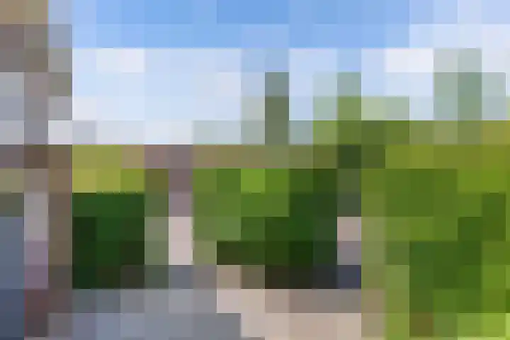 Hertog van Saxenlaan 35 Franeker thumbnail 48