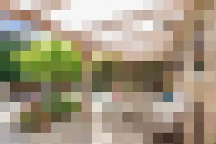 Hertog van Saxenlaan 35 Franeker thumbnail 50