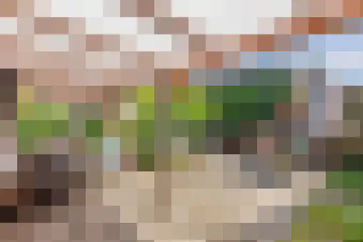 Hertog van Saxenlaan 35 Franeker thumbnail 51