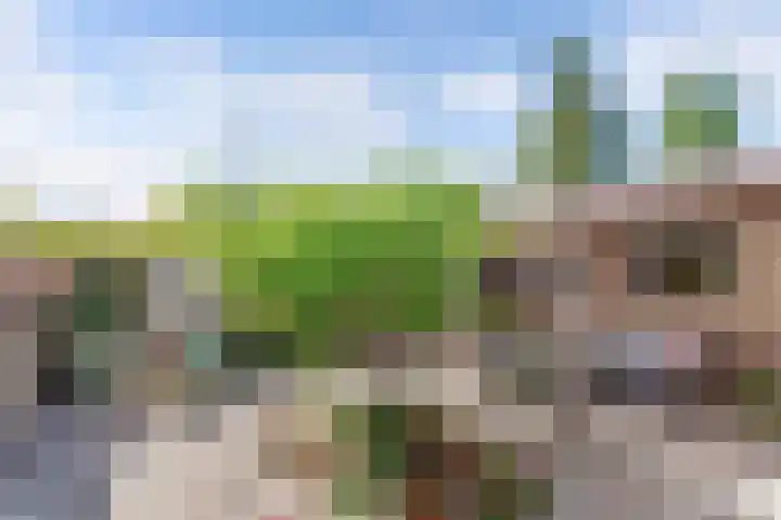 Hertog van Saxenlaan 35 Franeker thumbnail 56