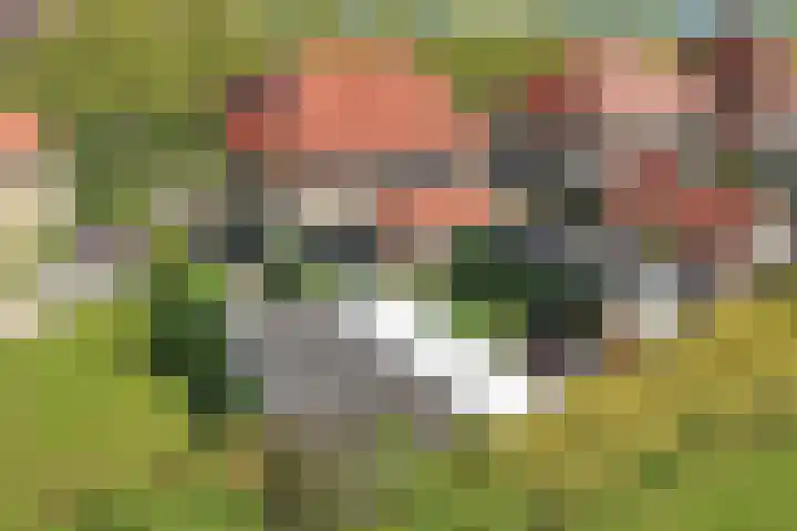 Hertog van Saxenlaan 35 Franeker thumbnail 58