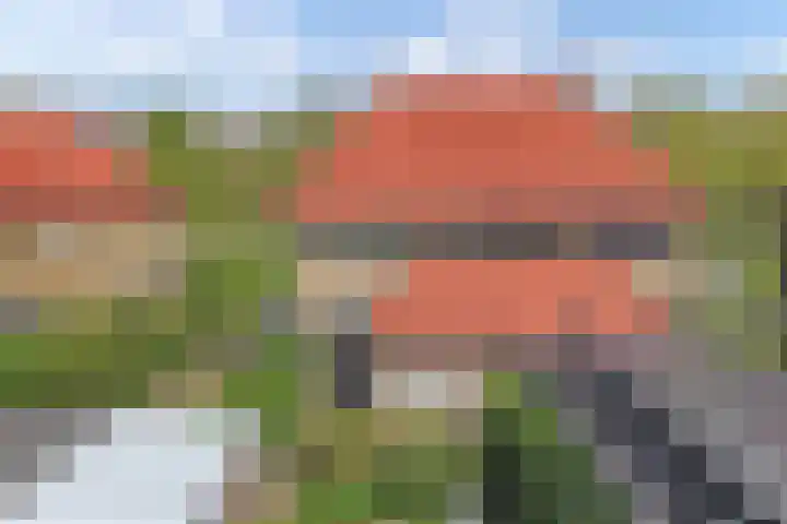 Hertog van Saxenlaan 35 Franeker thumbnail 60