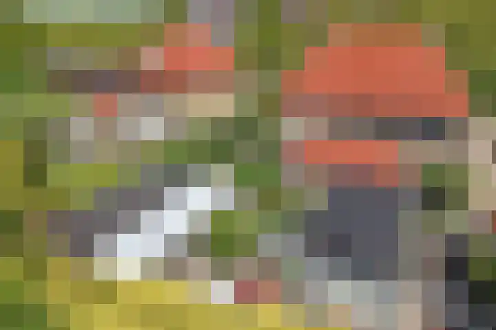 Hertog van Saxenlaan 35 Franeker thumbnail 61