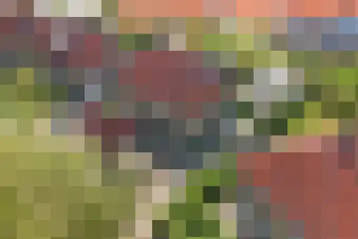 Hertog van Saxenlaan 35 Franeker thumbnail 7