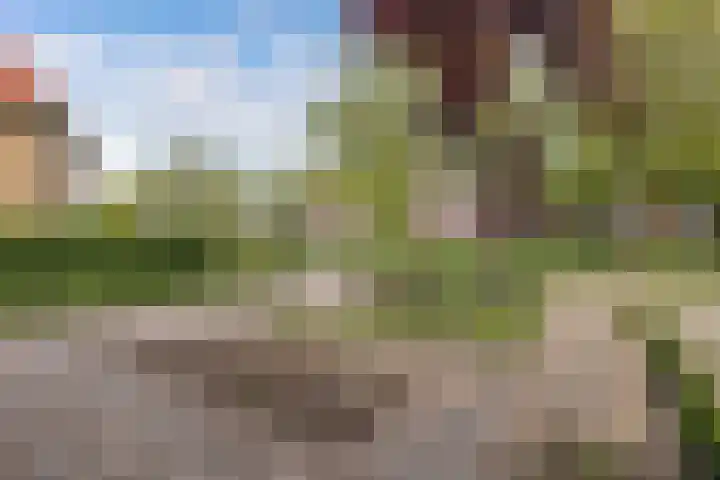 Hertog van Saxenlaan 35 Franeker thumbnail 9