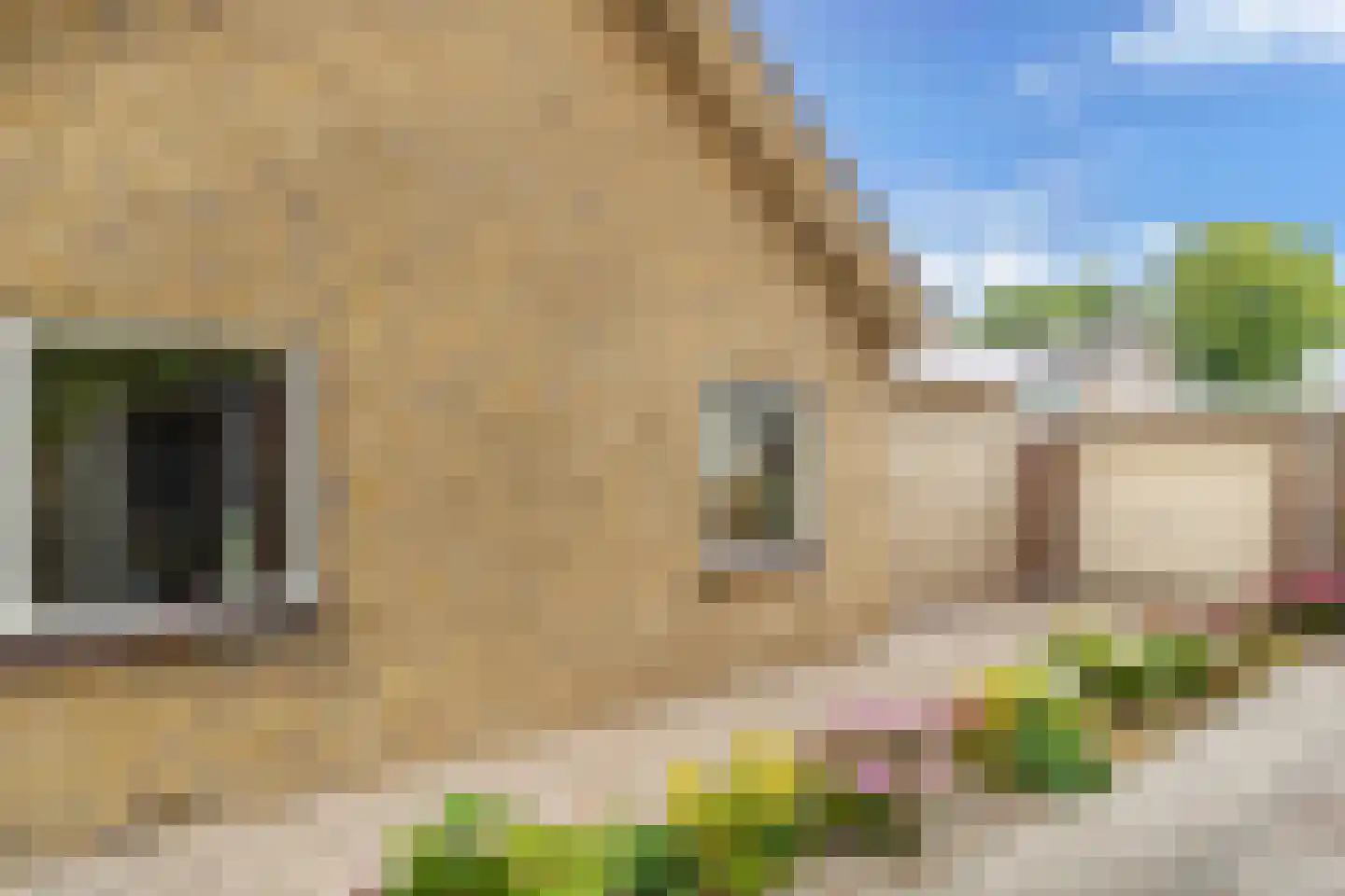Hertog van Saxenlaan 54 Franeker thumbnail 5