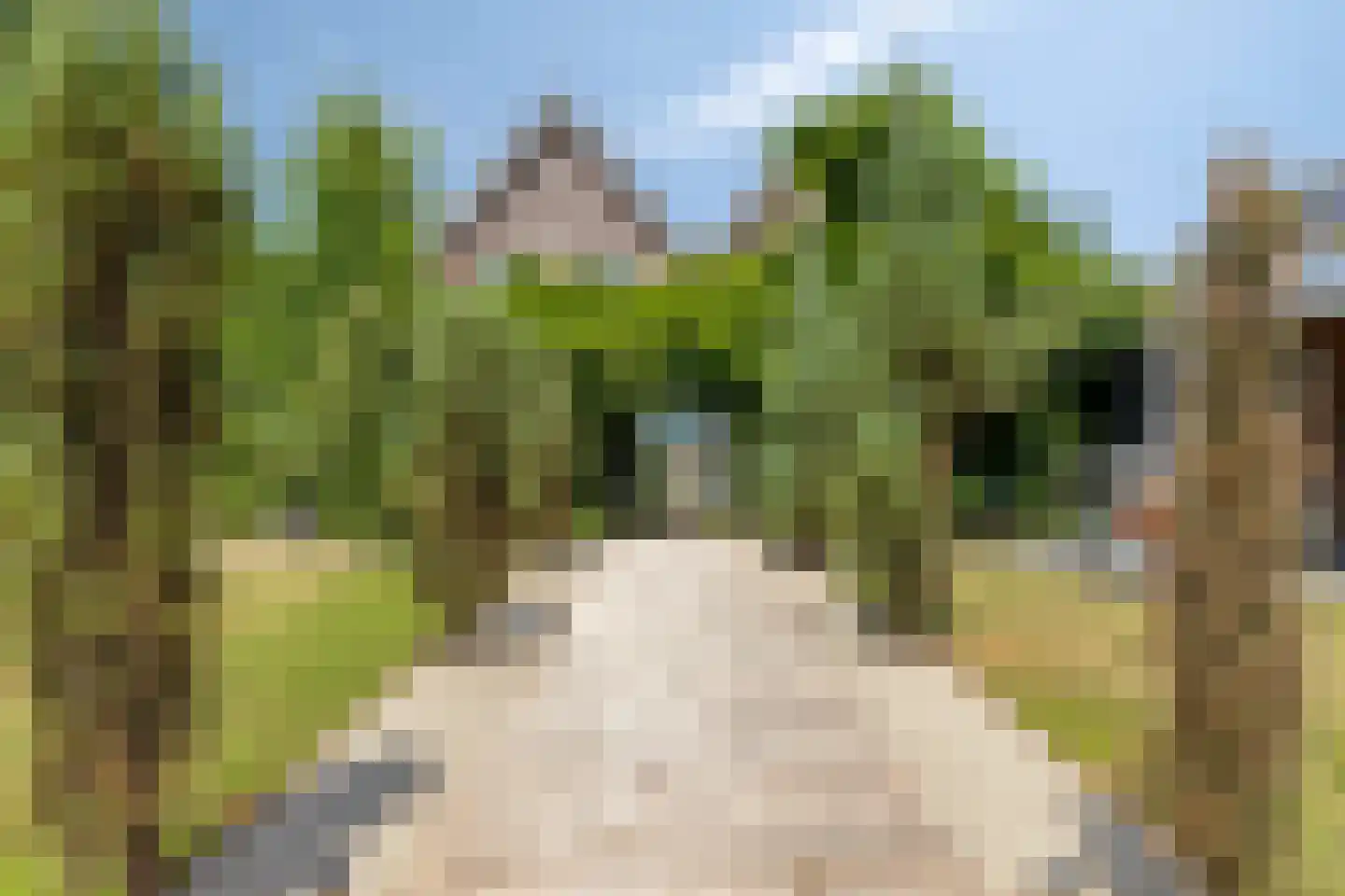 Hertog Willemhof 3 Zaltbommel thumbnail 46