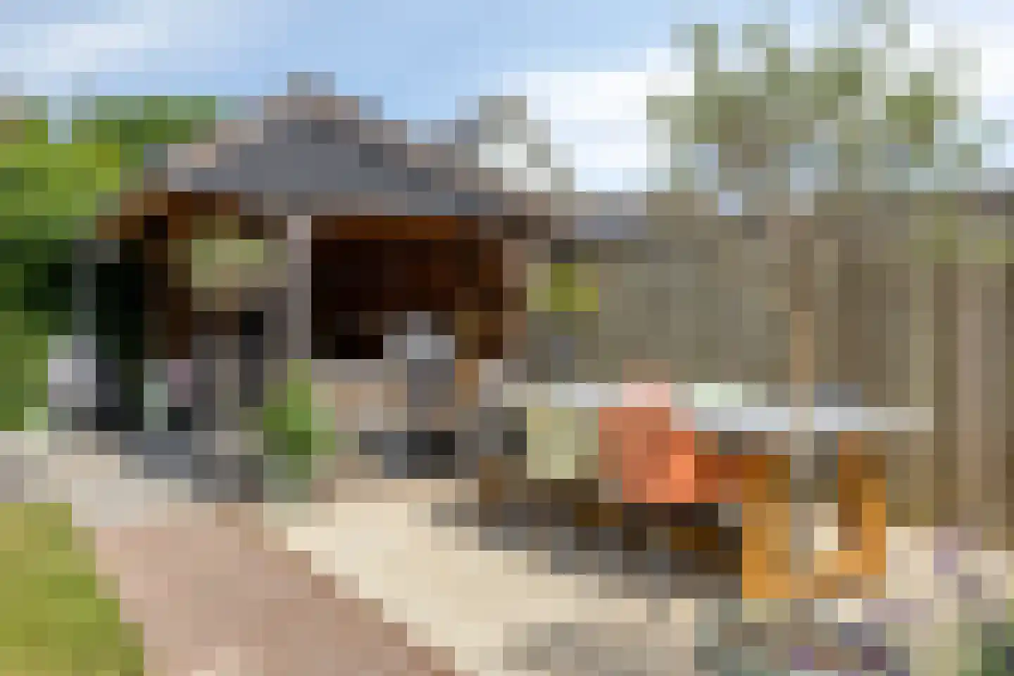 Hertog Willemhof 3 Zaltbommel thumbnail 48