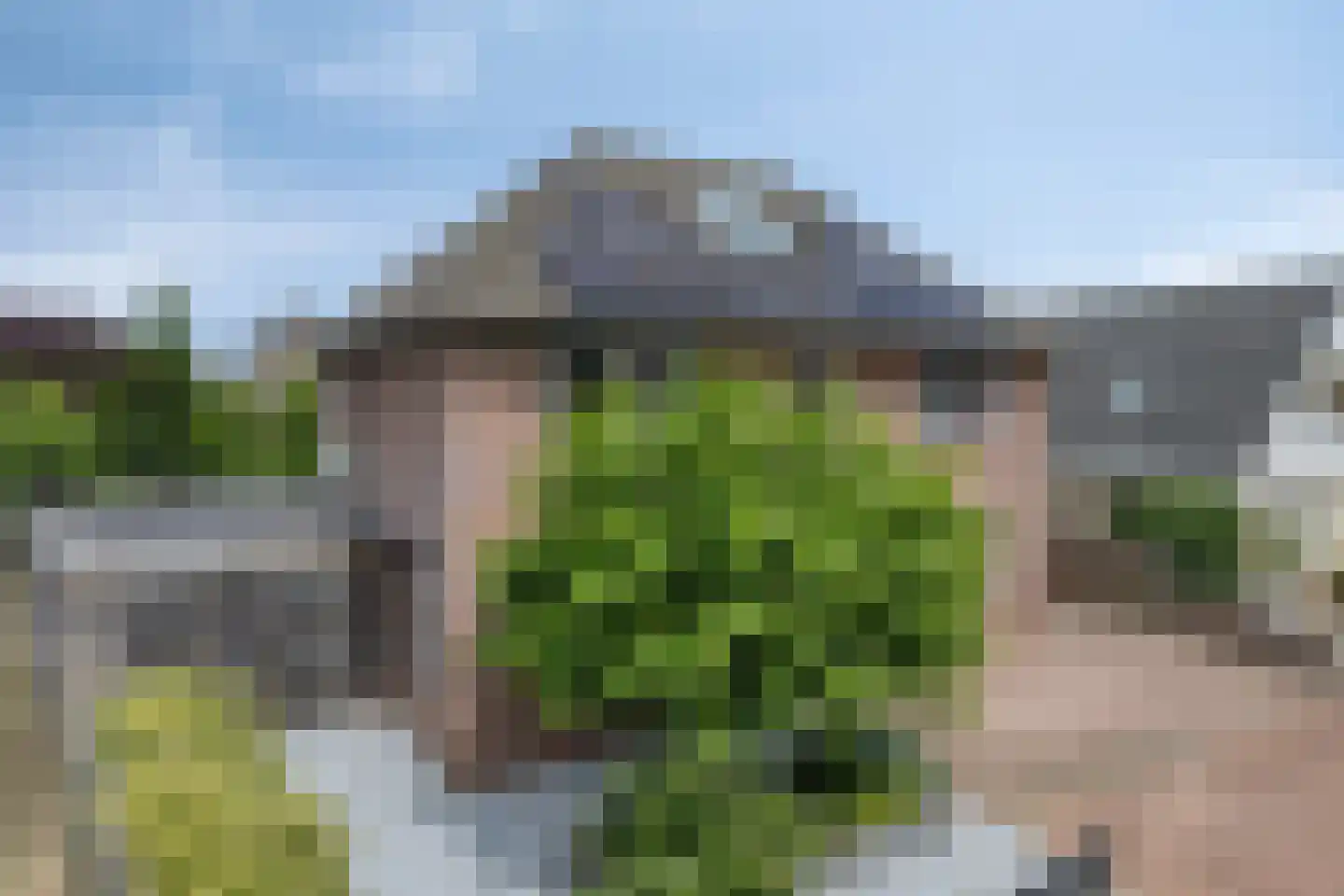 Hertog Willemhof 3 Zaltbommel thumbnail 58