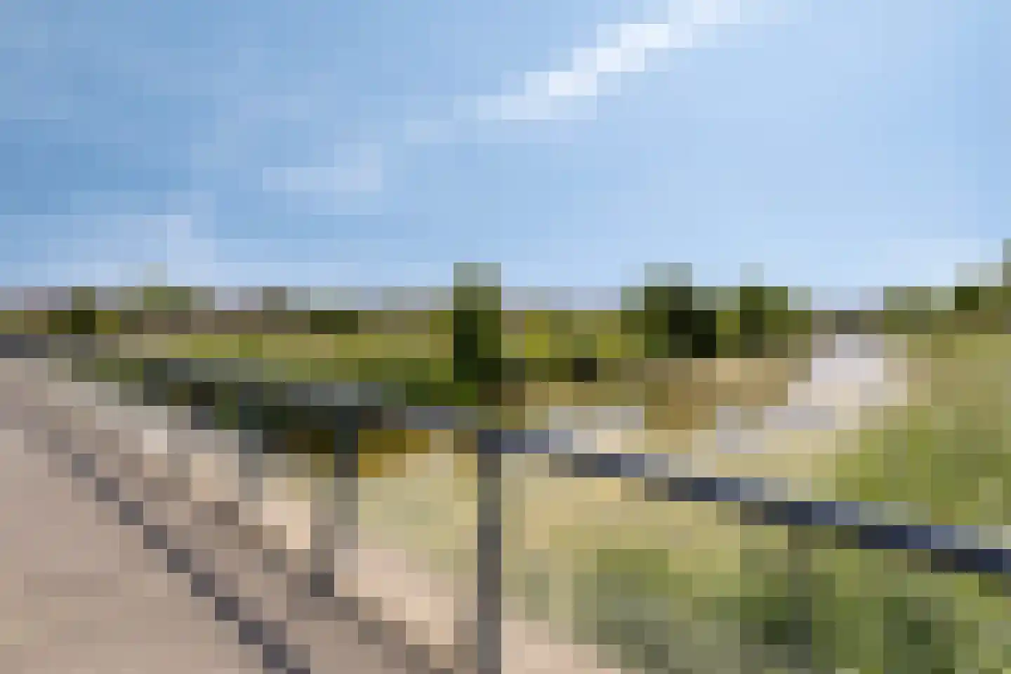 Hertog Willemhof 3 Zaltbommel thumbnail 60