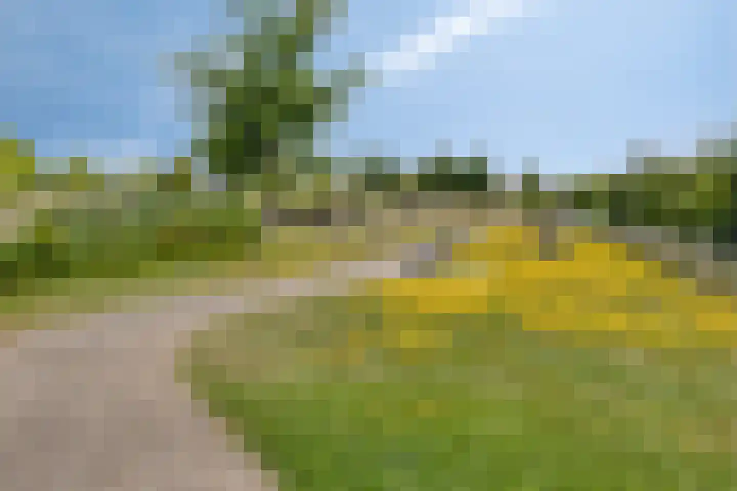 Hertog Willemhof 3 Zaltbommel thumbnail 61