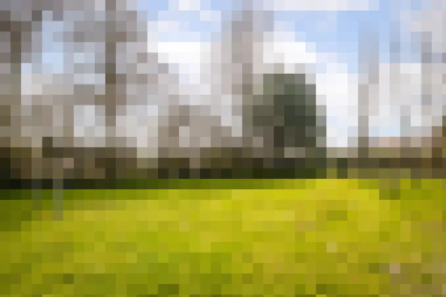 Hertog Willemweg 51 Hem thumbnail 37