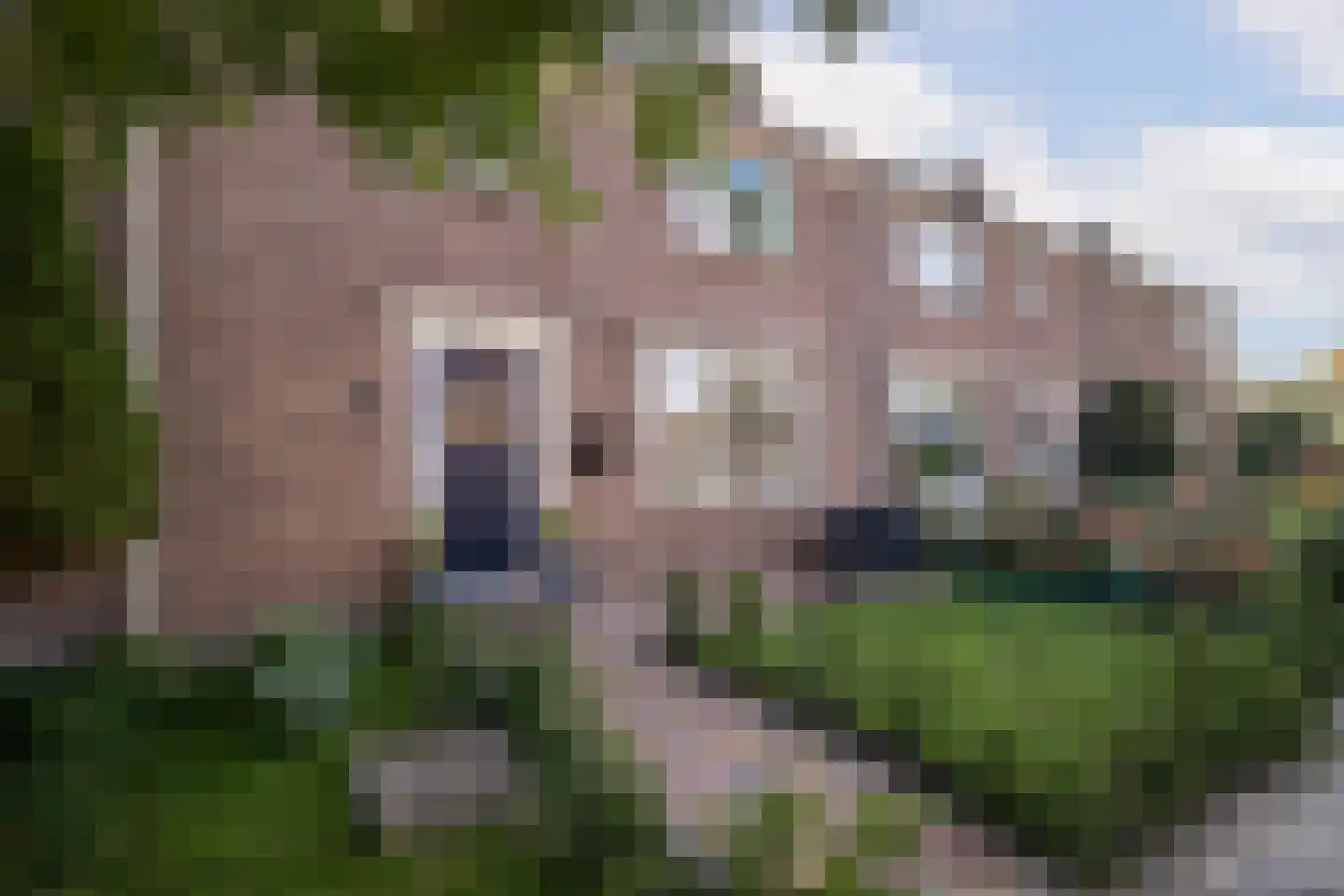 Hertog Willemweg 81 Hem thumbnail 6
