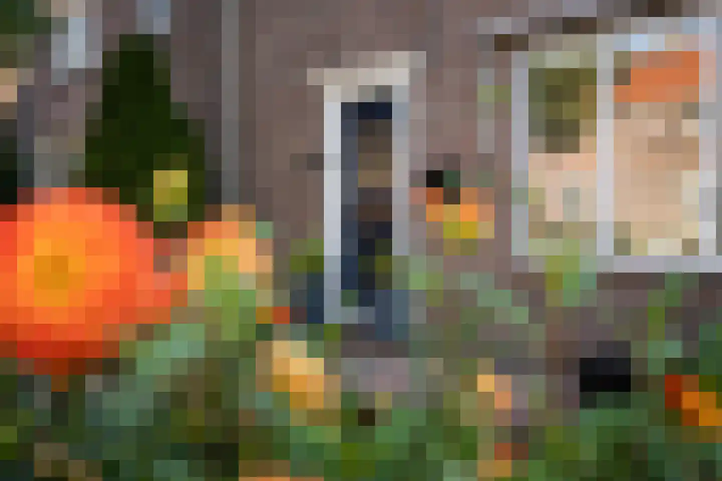 Hertog Willemweg 81 Hem thumbnail 7