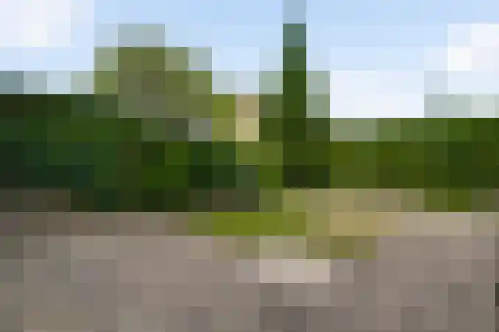 Hertogdom Gelresingel 29 Swalmen thumbnail 11