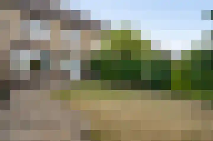 Hertogdom Gelresingel 29 Swalmen thumbnail 12