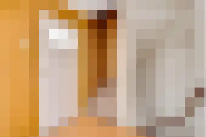 Hertogdom Gelresingel 29 Swalmen thumbnail 15