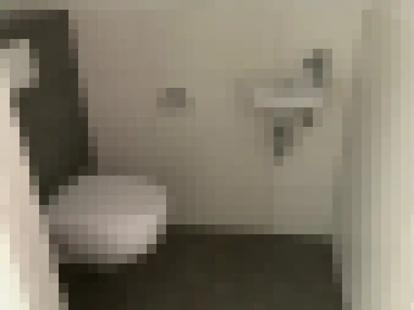 Hertogdom Gelresingel 3 Swalmen thumbnail 17