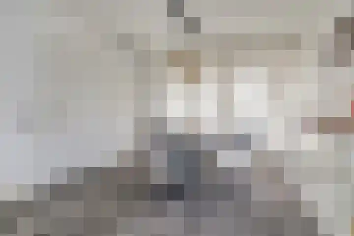 Hertogdom Gelresingel 34 Swalmen thumbnail 15
