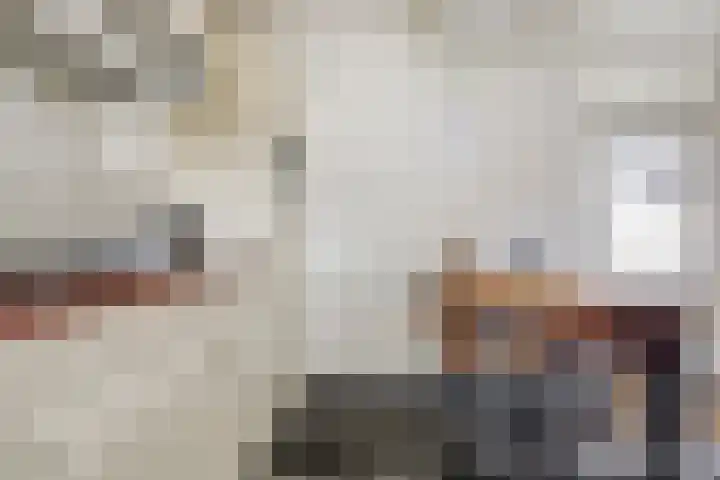 Hertogdom Gelresingel 34 Swalmen thumbnail 17