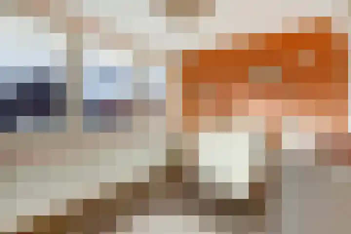Hertogdom Gelresingel 34 Swalmen thumbnail 24