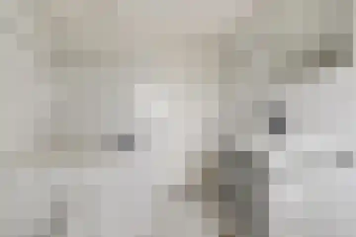 Hertogdom Gelresingel 34 Swalmen thumbnail 26