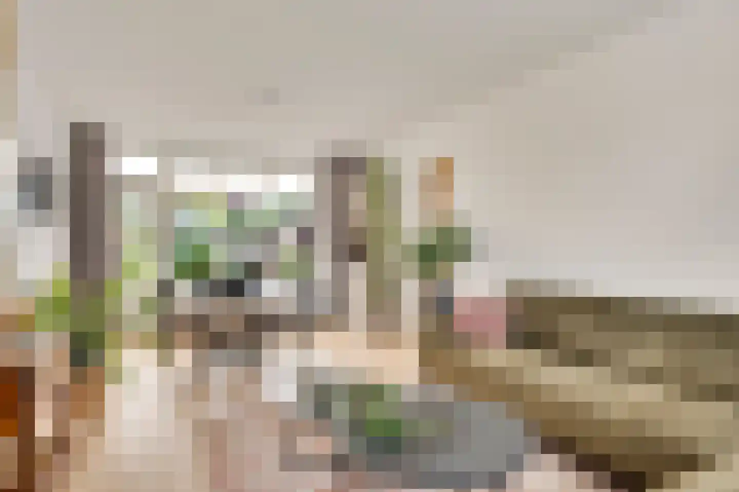 Hertogdom Gelresingel 36 Swalmen thumbnail 16