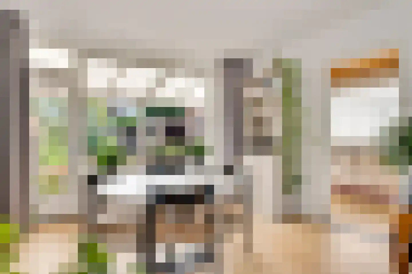 Hertogdom Gelresingel 36 Swalmen thumbnail 17