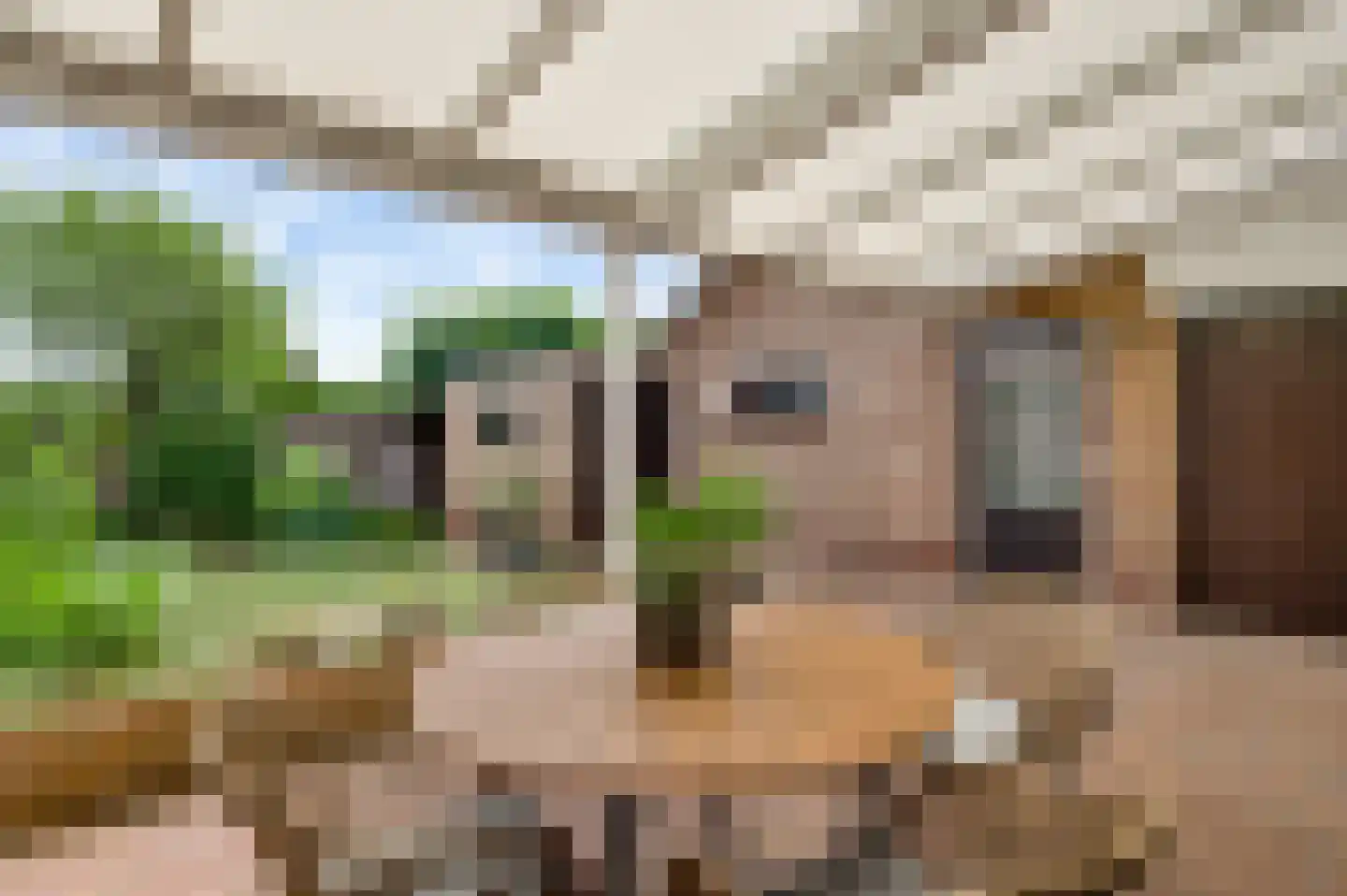 Hertogdom Gelresingel 36 Swalmen thumbnail 27
