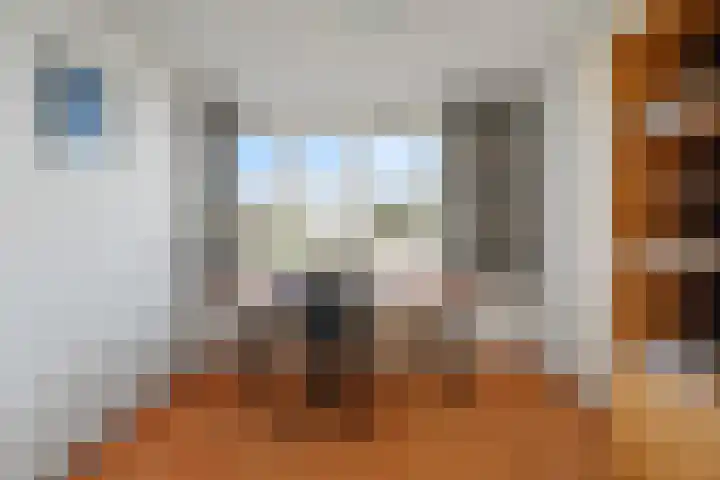 Hertogenborch 11 Houten thumbnail 27