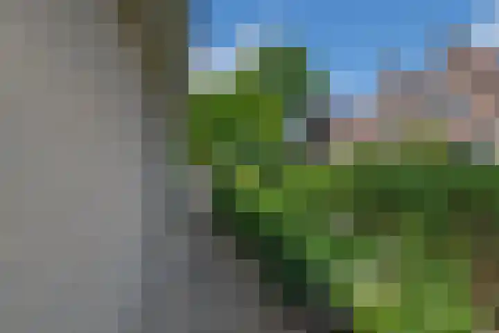 Hertogenborch 16 Houten thumbnail 26