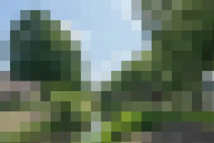 Hertogenborch 16 Houten thumbnail 31