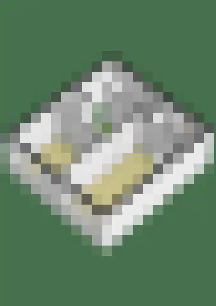 Hertogenborch 16 Houten thumbnail 41