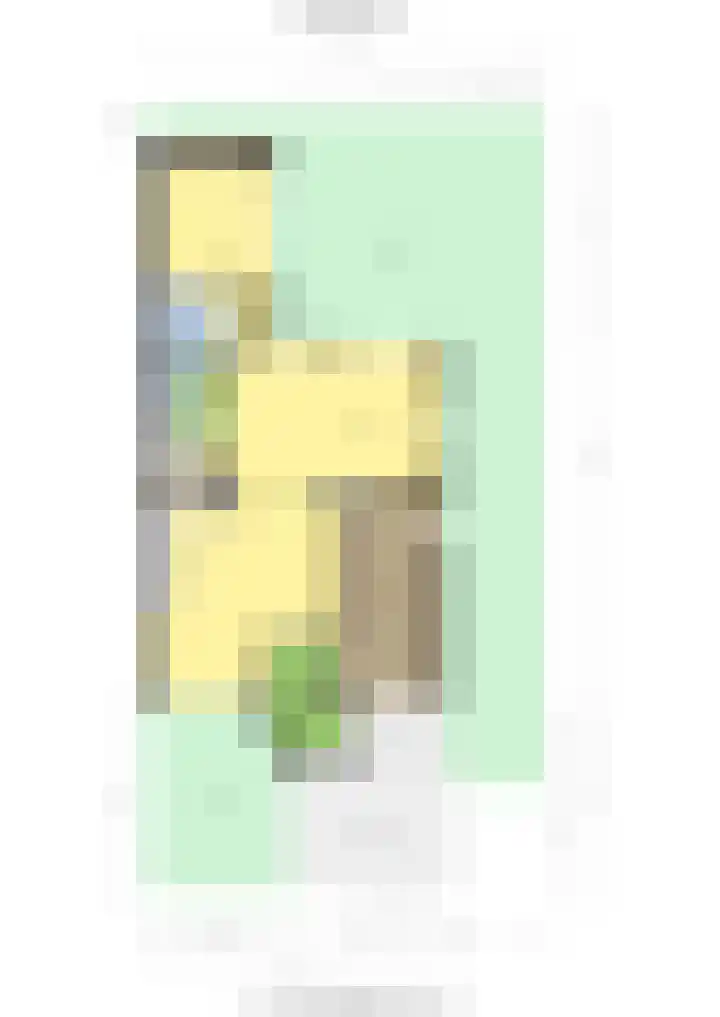 Hertogenborch 16 Houten thumbnail 42