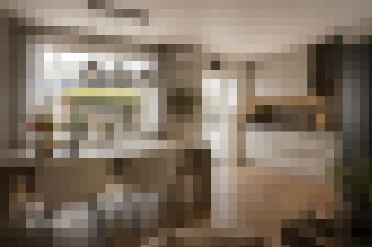 Hertogendal 16 Zevenbergen thumbnail 10