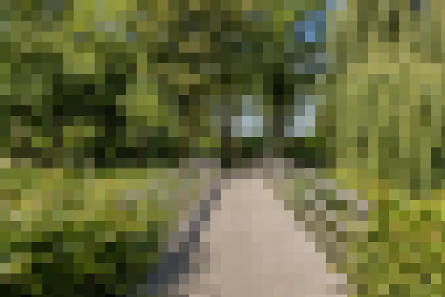 Hertogendal 16 Zevenbergen thumbnail 34