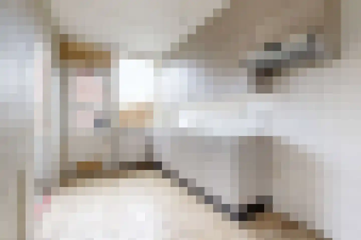 Hertogendal 2 Zevenbergen thumbnail 21